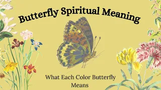 Why You Keep Seeing Butterflies | Butterfly Spiritual Meaning Butterfly Mythology & Butterfly Facts