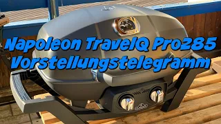 Napoleon TravelQ PRO285 - Kurzvorstellung des kompakten Gasgrills für Unterwegs