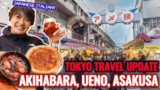 2023 November Tokyo Travel Situation Update from Akihabara, Ueno, and Asakusa Ep.442