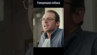 Сцена их Х/Ф "Все могу" говорящая собака #shorts #video #кино #tiktok #memes #скетч #comedy