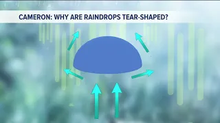 Kevin's Classroom: Why are raindrops tear shaped?