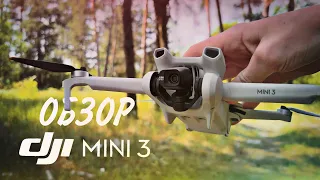 DJI Mini 3 - Обзор & сравнение с Mini 3 PRO! Что выбрать?