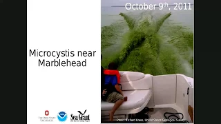 Understanding, Predicting, and Tracking Harmful Algal Blooms: The Current Webinar 40