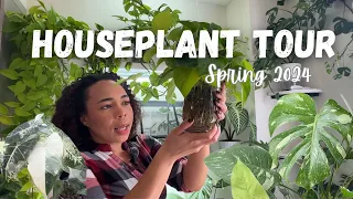 Entire Houseplant  Collection Tour| Spring 2024| Common, Uncommon & Rare