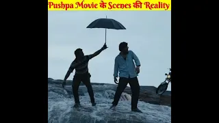 Pushpa Movie Vfx Breakdown||#alluarjun #superhit #pushpamovie