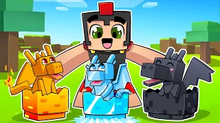 Adoptamos HUEVOS de DRAGÓN en MINECRAFT 🐣🐲 INVICTOR