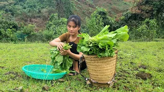 While harvesting vegetables to sell at the market, the kitchen was blown over by the wind