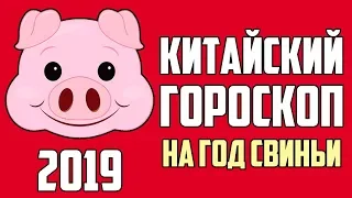 КИТАЙСКИЙ ГОРОСКОП НА ГОД СВИНЬИ 2019