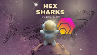 Revealing How Hex Sharks Survive a Bear Market!