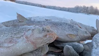 КОМБАЙНЫ и БЕЗМОТЫЛКА в ГЛУХОЗИМЬЕ или сказ о том, как мы дружной компанией на Обь ездили.