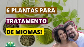 6 plantas para o tratamento de miomas! Trate miomas de forma natural!