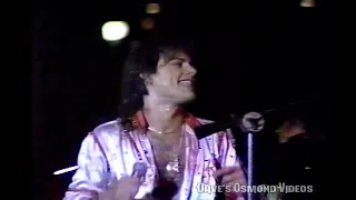 KC & The Sunshine Band  "Do You Wanna Go Party"    HD   1979  (Audio Remastered)