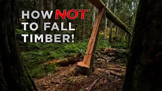 Everything Went WRONG! Falling Timber on a Rainy Day