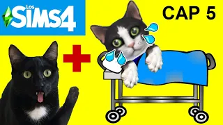 Jugando a los SIMS 4 con mis gatos Luna y Estrella CAP 5 Casa embrujada / Videos de gatitos