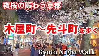 4/2(火)夜桜の京都木屋町〜先斗町を歩く【4K】Cherry Blossoms in Kyoto Kiyamachi Street