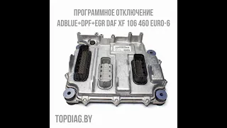 Программное отключение Adblue DPF EGR DAF XF 106 Euro-6 2017 г.в.