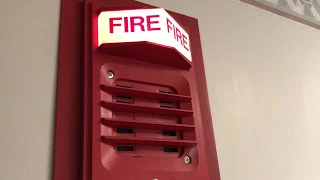 Simplex Fire Alarms At My Former Apartment