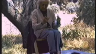 J. Krishnamurti - Ojai 1980 - Public Q&A 3