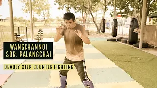 Wangchannoi Sor Palangchai - Deadly Step Counter Fighting Trailer (full film 72 min)
