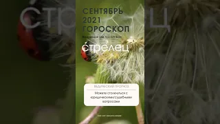 Стрелец ♐️ Гороскоп на Сентябрь 2021