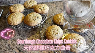 How easy to make Sourdough Chocolate Chips Cookies 🍪 天然酵種巧克力曲奇 🥰🥰🥰