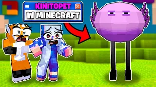 ZAINSTALOWAŁEM KINITOPET w MINECRAFT!