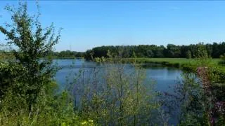 Autour des marais d'Harchies