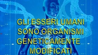 Mauro Biglino: Gli Esseri umani sono organismi geneticamente modificati. Gli Elohim ?