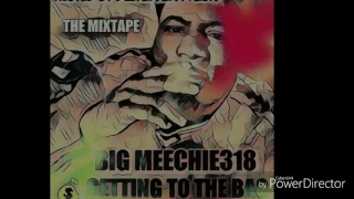 Bigmeechie318 - Not yo everyday rapper