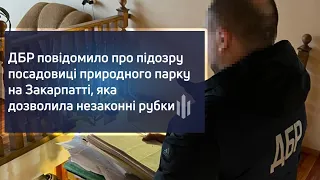 ДБР повідомило про підозру посадовиці природного парку на Закарпатті, яка дозволила незаконні рубки