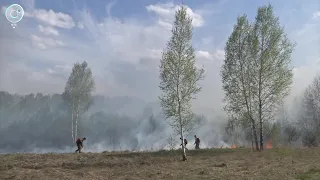 Особый противопожарный режим продлили в Новосибирской области