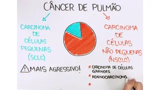 Tudo o que você precisa saber sobre o câncer de pulmão - Parte 1/3