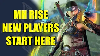 Monster Hunter Rise - New Players Guide, The Basics
