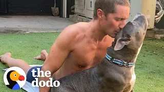Pittie Returned To Shelter Twice Loves Her New Human | The Dodo Foster Diaries