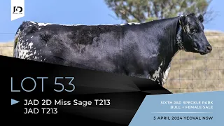 Lot 53: JAD 2D Miss Sage T213 (JAD T213)