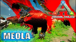 ARK: Survival Evolved ARK Creatures Rebalanced (AG REBORN) 🦄 MEOLA, THE TRIBUTE GRIFFIN    🦄