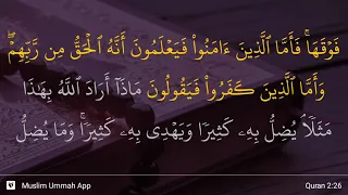 Al-Baqarah ayat 26