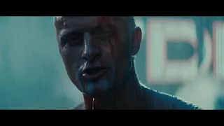 Rutger Hauer - Blade Runner (final scene)