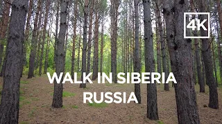 Walking tour around Gremyachaya Griva park in Krasnoyarsk city (Siberia, Russia) [4k]