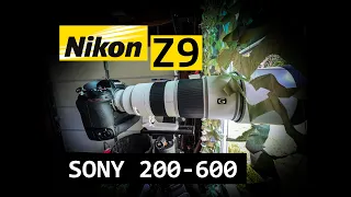 Nikon Z9 with 200-600 lens (Sony that is) with the Megadap ETZ21