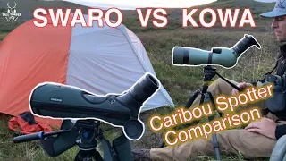 Alaska Caribou - Swarovski/Kowa Spotting Scope Review