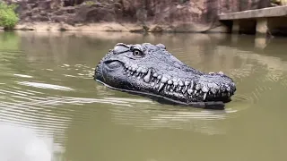 This AMAZING Flytec V005 crocodile RC boat is good to prank. Anyone is going to scared.