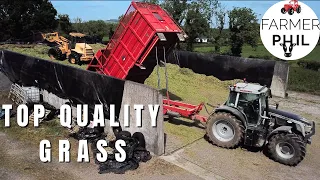 THE GREEN SYMPHONY | DELVING INTO THE WORLD OF 1ST CUT SILAGE