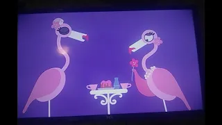 Animanimals: peacock/flamingo (my 3rd most popular video)