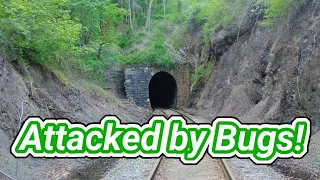 The Train Tunnel at Cumberland Gap, Bugs and an Argument