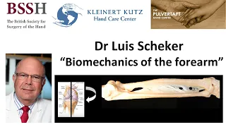 Biomechanics of the forearm by Dr Luis Scheker