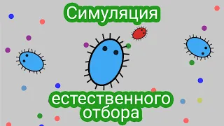 Симуляция естественного отбора