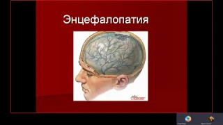 Строение мозга часть1 (к.м.н. Засорина Л.В.)
