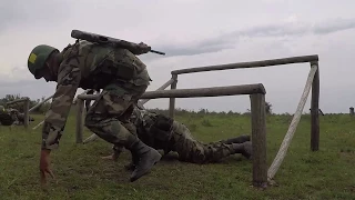 Evaluación Externa de Entrenamiento Básico del Ejército