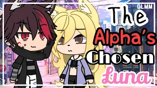 The Alpha's Chosen Luna | GLMM | Gacha Life Mini Movie | ORIGINAL